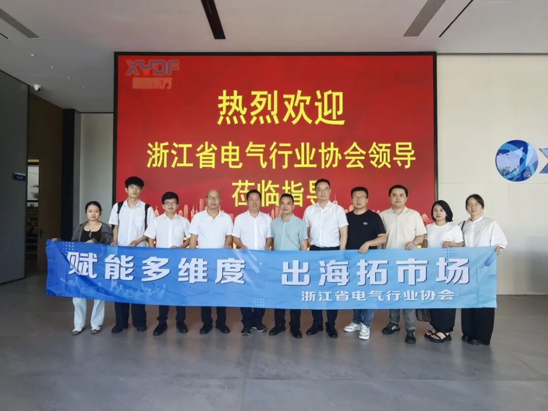浙江省电气协会走进新亚东方(图5) image.png